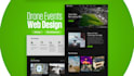 design and develop a professional wordpress website and blog
