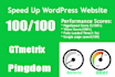 expert speed optimization for wordpress, woocommerce, and elementor sites