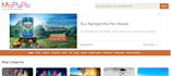 do dynamic custom website development