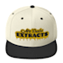 do realistic snapback dad hat design for printful merch