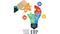 do your netsuite customization