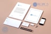 design unique business branding and logo