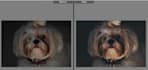 make your photos look crispy and great
