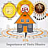 do vastu analysis for house, office and business locations and give solutions
