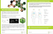 write medical articles and blogs as a doctor