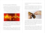 book formatting for paperback, ingramspark, lulu, smashword, kids book format