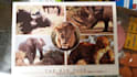 send postcard with extra from eswatini custom message