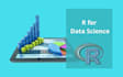 do descriptive analysis, spss, r and stata