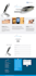 build divi website, customize divi theme using divi builder