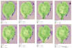 do gis and remote sensing analysis