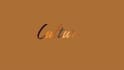 do awesome title and text typography animation