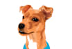 do vector illustration dog cat animal pet cartoon portrait