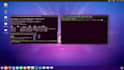 setup linux server and install apache php, mysql, mariadb, phpmyadmin