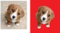 vectorize logo, vector trace, redraw, convert to vector