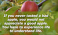 be your life coach and guide regarding relationship