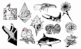 make line art black and white illustration for you