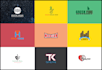 design 2 best professional business logo in 24 hours