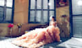 wedding photo edits and retouching