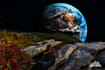 manipulate a picture  and make it look epic