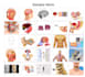 do medical and scientific illustrations