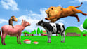 create 3d animation stories with humans and animals