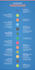 design professional flat infographics