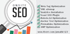 do best onpage SEO and optimization of wordpress site