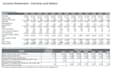 prepare a customized financial model