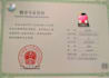 translate between english and chinese manually