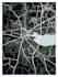 design graphic design of maps