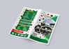 design a flyer and poster for your business