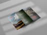 design a premium brochure or company profile