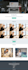 develop a responsive website