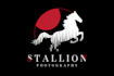 do a professional business logo design for you within 24 hrs