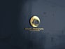 design professional business logo with branding kit