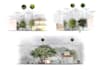 create 2d plans, sections and elevations in color