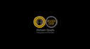 create amazing trailer custom intro logo animation