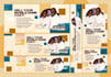 do creative social media design, post, banner ads