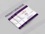 create credit score flyer, medical flyer, book launch flyer, brochure