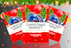 design professional christmas flyer, poster, event flyer 12hours