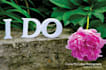 create heartfelt  wedding vows or wedding speech