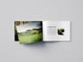 design beautiful brochures and flyers