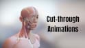 do professional 3d medical animation for you