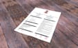rewrite, edit and design a succesful resume, CV