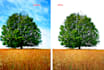 do photo editing n retouch