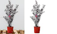 do background removal or cut out very fast