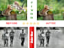 background removal, photo editing, ecommerce product images