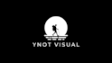create stunning custom logo animations with sound effects