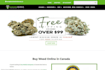 create a wordpress website or wordpress website design