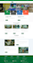 develop custom wordpress cms and woo commerce website